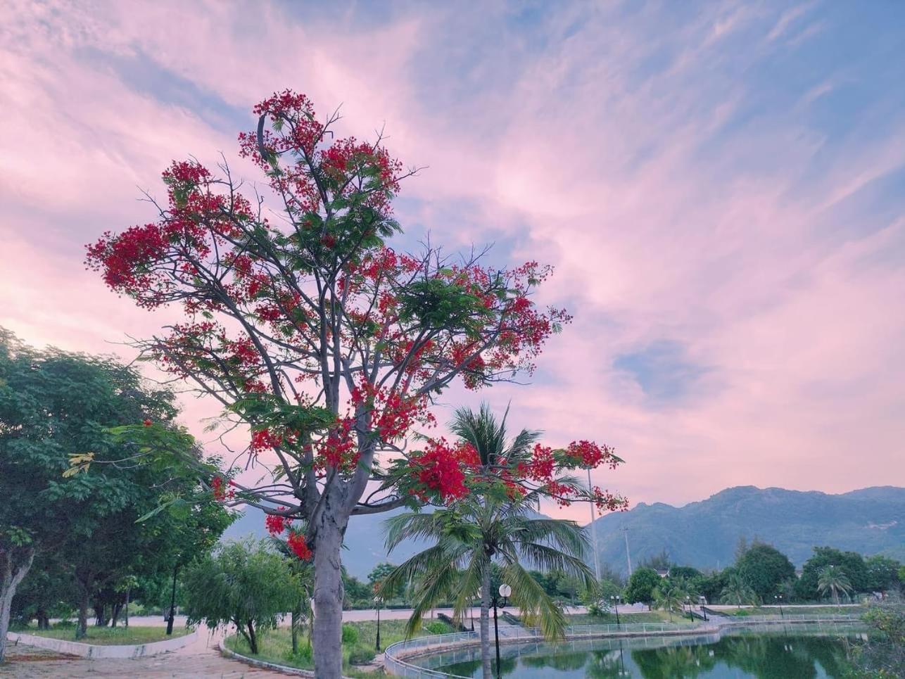 Moc Homestay- Near Bai Dai Beach Cam Lam Exteriér fotografie