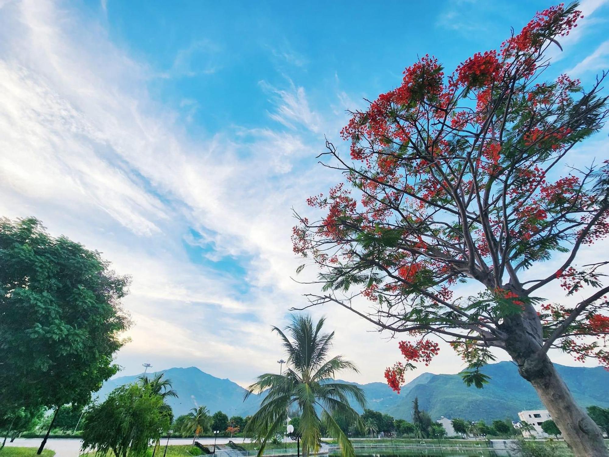 Moc Homestay- Near Bai Dai Beach Cam Lam Exteriér fotografie